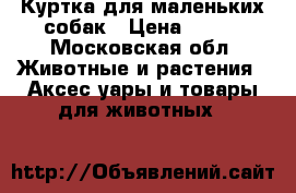 Куртка для маленьких собак › Цена ­ 400 - Московская обл. Животные и растения » Аксесcуары и товары для животных   